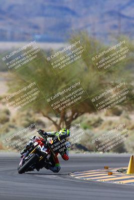 media/Apr-14-2024-SoCal Trackdays (Sun) [[70f97d3d4f]]/1-Turn 5 Tree of Life (920am)/